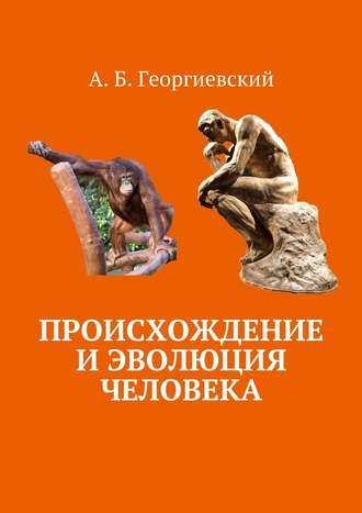 Александр Георгиевский, Происхождение и эволюция человека