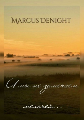 Marcus Denight, И мы не замечаем мелочей…