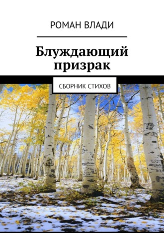 Роман Токарев, Блуждающий призрак. Сборник стихов