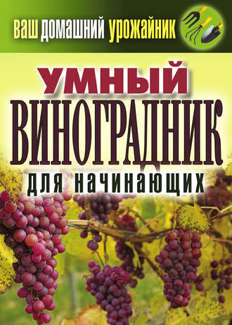Екатерина Животовская, Умный виноградник для начинающих