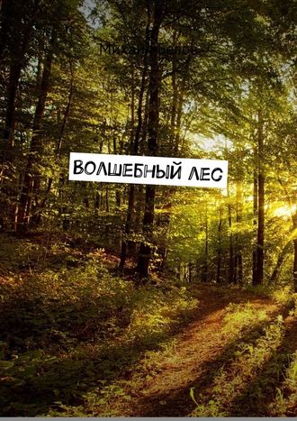 Михаил Белов, Волшебный лес