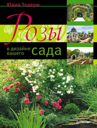Юлия Тадеуш, Розы в дизайне вашего сада