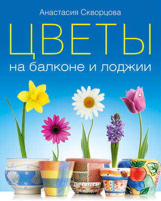 Анастасия Скворцова, Цветы на балконе и лоджии