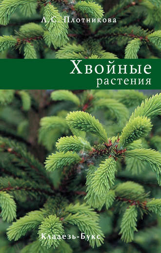 Лилиан Плотникова, Хвойные растения
