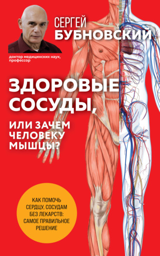 Сергей Бубновский, Здоровые сосуды, или Зачем человеку мышцы?