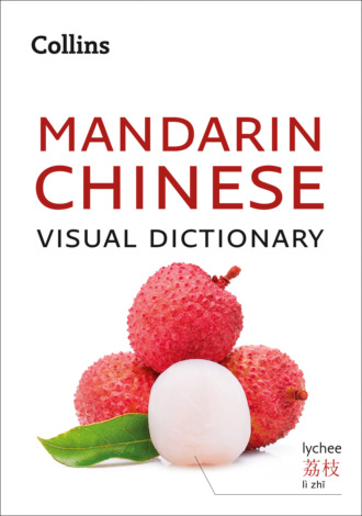 Collins Dictionaries, Collins Mandarin Chinese Visual Dictionary