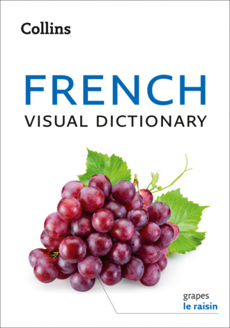 Collins Dictionaries, Collins French Visual Dictionary