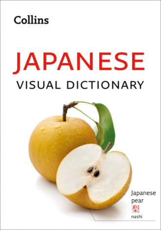 Collins Dictionaries, Collins Japanese Visual Dictionary
