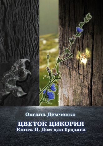 Оксана Демченко, Цветок цикория. Книга II. Дом для бродяги