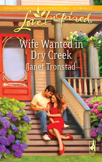 Janet Tronstad, Wife Wanted in Dry Creek