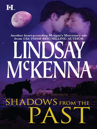 Lindsay McKenna, Shadows from the Past