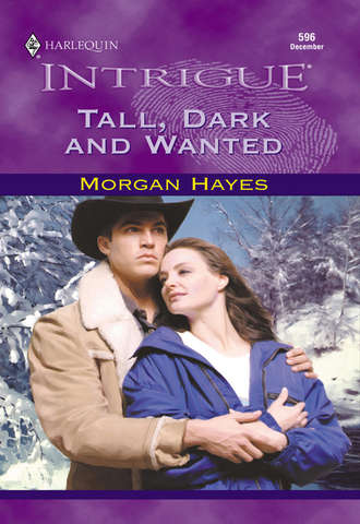 Morgan Hayes, Tall, Dark And Wanted