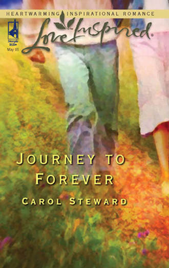 Carol Steward, Journey To Forever