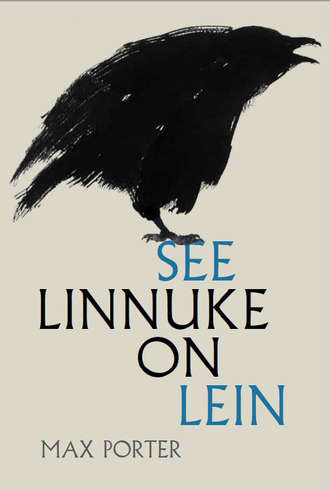 Max Porter, See linnuke on lein