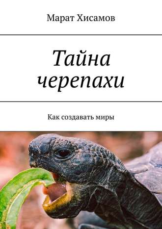 Марат Хисамов, Тайна черепахи. Как создавать миры