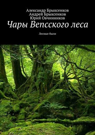 Андрей Брыксенков, Александр Брыксенков, Чары Вепсского леса. Лесные были