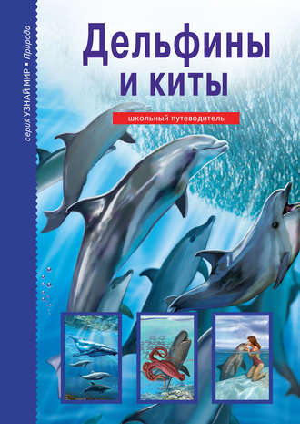 Юлия Дунаева, Дельфины и киты