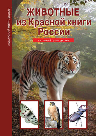 Юлия Дунаева, Животные из Красной книги России