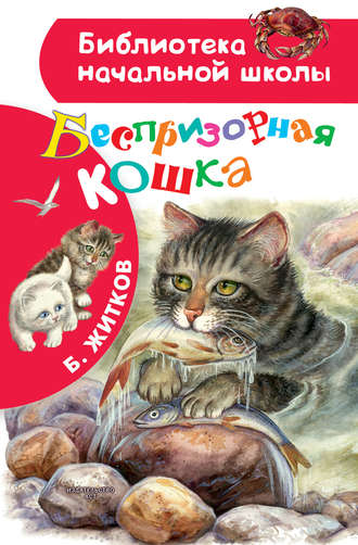 Борис Житков, Беспризорная кошка