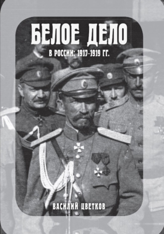 Василий Цветков, Белое дело в России: 1917-1919 гг.
