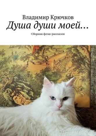 Владимир Крючков, Душа души моей… Сборник флэш-рассказов