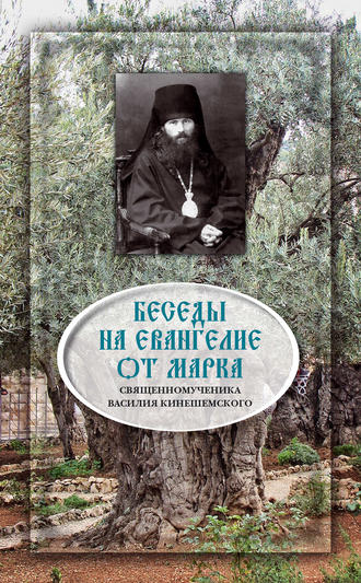 Священномученик Василий Кинешемский, Беседы на Евангелие от Марка