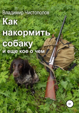 Владимир Чистополов, Как накормить собаку и еще кое о чем