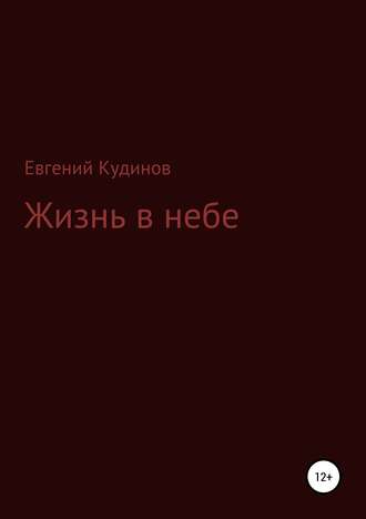 Евгений Кудинов, Жизнь в небе