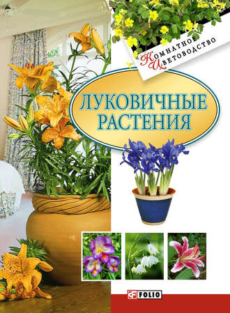 Татьяна Дорошенко, Луковичные растения