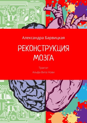 Александра Барвицкая, Реконструкция мозга. Трактат Альфа-Вита Нови
