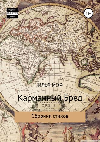 Карманный бред Илья Йор, Карманный бред