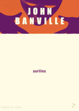 John Banville, Surilina