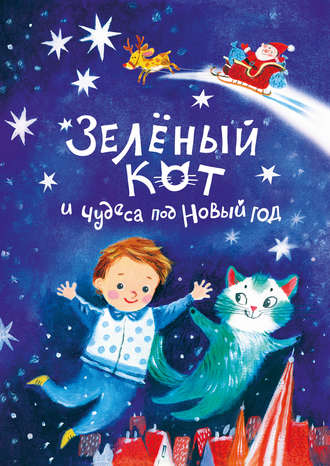 Надежда Щербакова, Зелёный кот и чудеса под Новый год