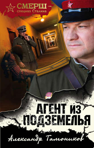 Александр Тамоников, Агент из подземелья