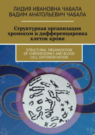 Вадим Чабала, Лидия Чабала, СТРУКТУРНАЯ ОРГАНИЗАЦИЯ ХРОМОСОМ И ДИФФЕРЕНЦИРОВКА КЛЕТОК КРОВИ. STRUCTURAL ORGANIZATION OF CHROMOSOMES AND BLOOD CELL DIFFERENTIATION