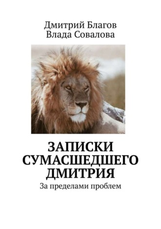 Дмитрий Благов, Влада Совалова, Записки сумасшедшего Дмитрия. За пределами проблем