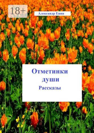 Отметинки души Александр Енин, Отметинки души