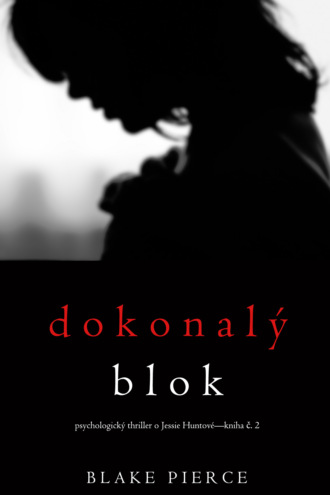 Blake Pierce, Dokonalý blok