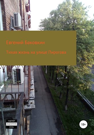 Евгений Баковкин, Тихая жизнь на улице Пирогова