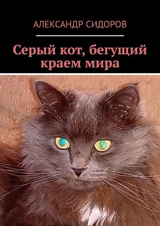 Александр Сидоров, Серый кот, бегущий краем мира