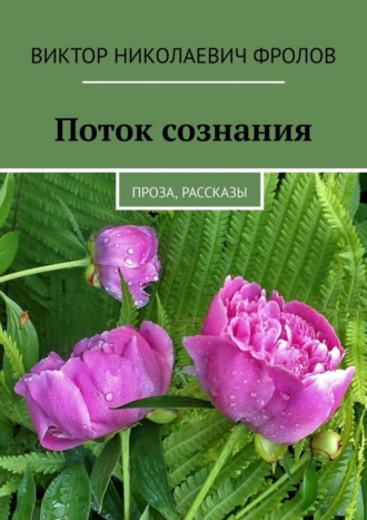 Виктор Фролов, Поток сознания. Проза, рассказы