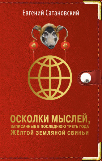 Евгений Сатановский, Осколки мыслей, записанные в последнюю треть года Жёлтой Земляной Свиньи