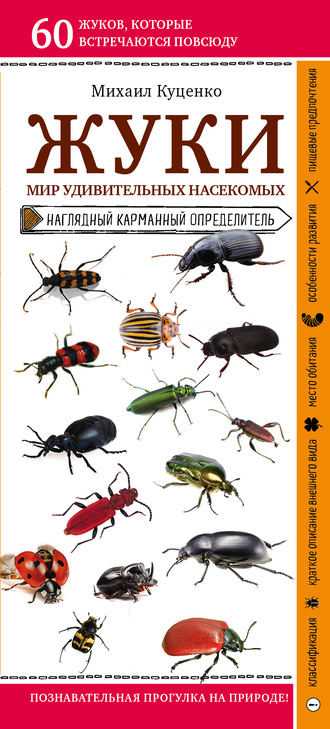 Михаил Куценко, Жуки. Мир удивительных насекомых