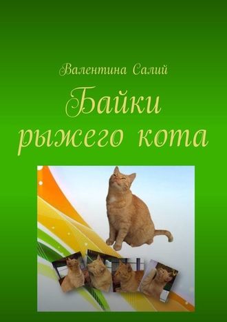 Валентина Салий, Байки рыжего кота. Стихи