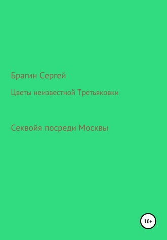 Сергей Брагин, Цветы неизвестной Третьяковки