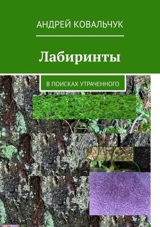 Андрей Ковальчук, Лабиринты. В поисках утраченного