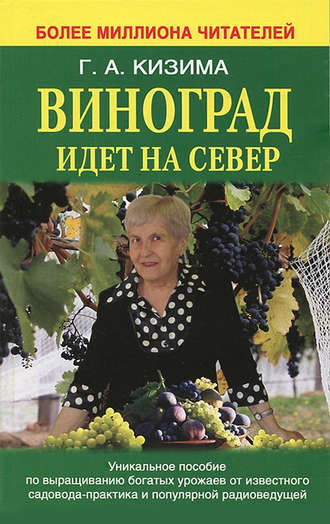 Галина Кизима, Виноград идет на Север