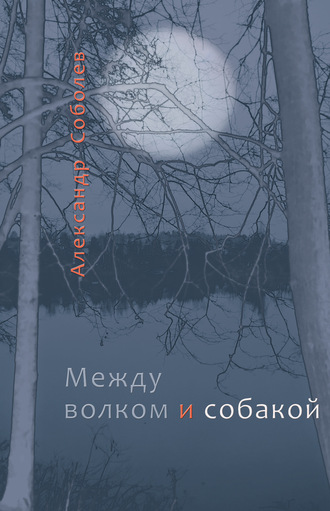 Александр Соболев, Между волком и собакой