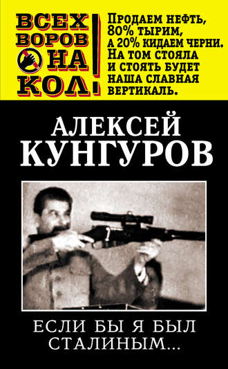 Алексей Кунгуров, Если бы я был Сталиным…
