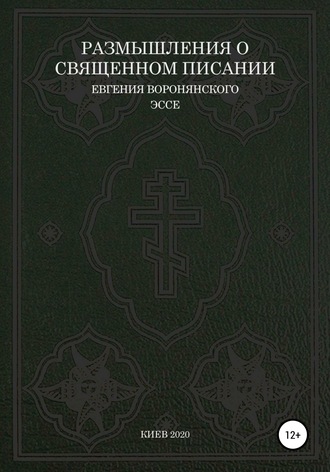 Евгений Воронянский, Размышления о Священном писании